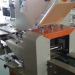 Wooden Forks Packing Machine