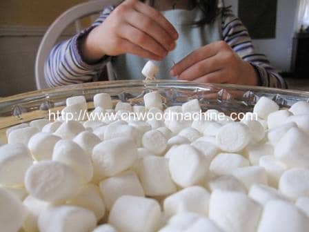 Making Marshmallow and Toothpick Sculptures 1